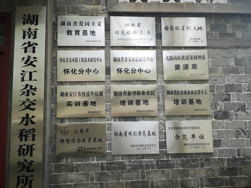 猕猴桃湘西红心猕猴桃上市对接电商超市批发等