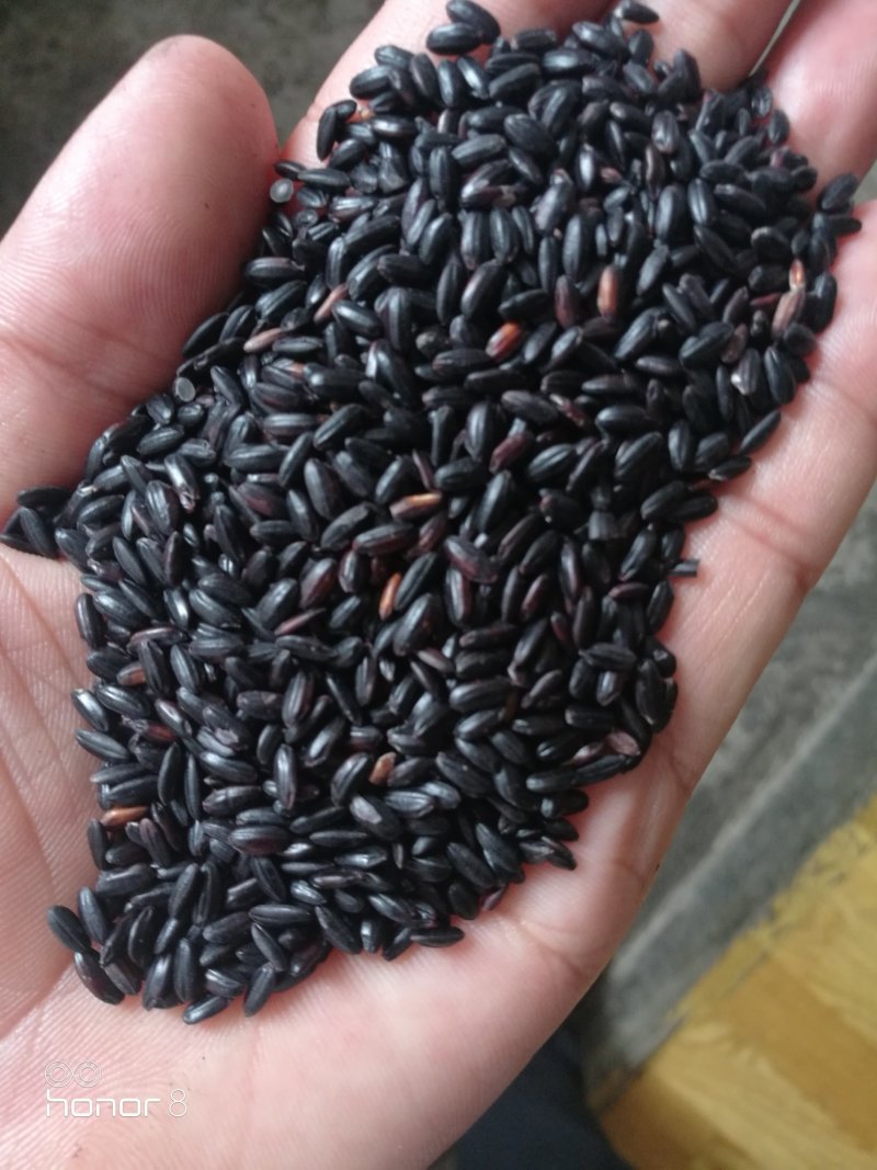 黑米除煮粥外还可以制作各种营养食品和酿酒，有大红袍等品种