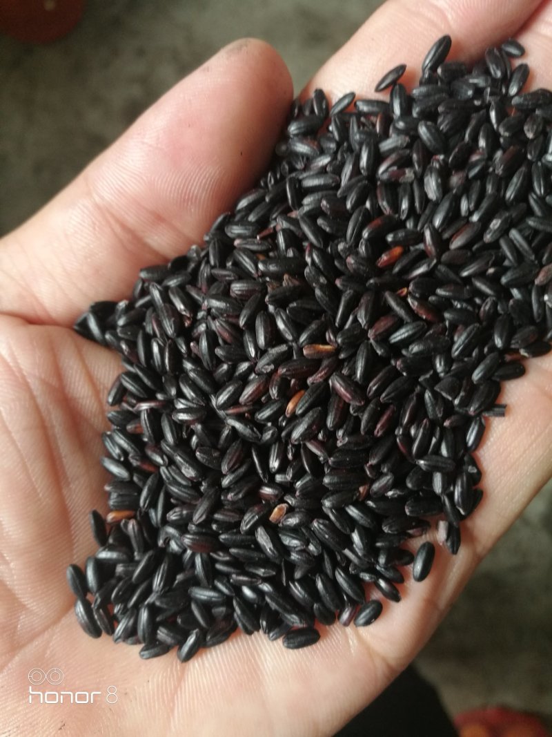 黑米除煮粥外还可以制作各种营养食品和酿酒，有大红袍等品种