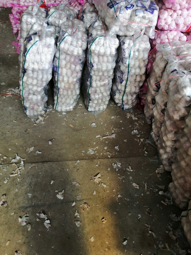 【热卖中】金乡大蒜新蒜老蒜紫皮蒜专业代收代存代发市场商超