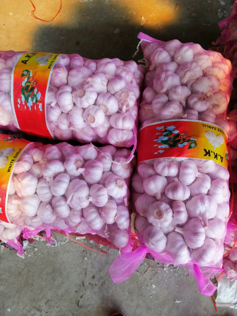 【热卖中】金乡大蒜新蒜老蒜紫皮蒜专业代收代存代发市场商超