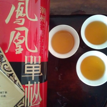 凤凰单丛茶