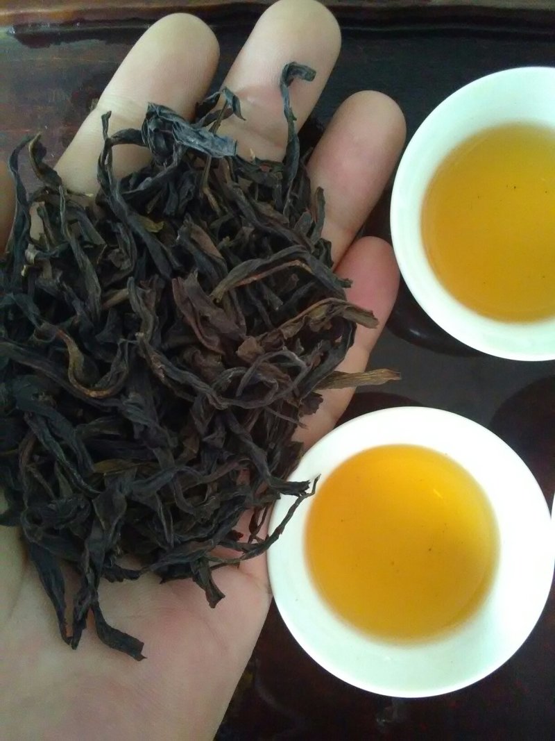 凤凰单丛茶