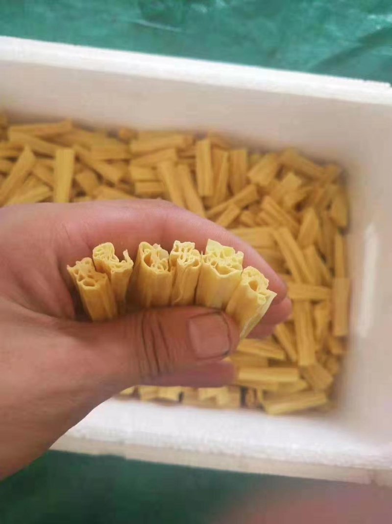 手工无盐腐竹干货批发头层腐竹段干腐竹批发豆腐皮干豆皮油