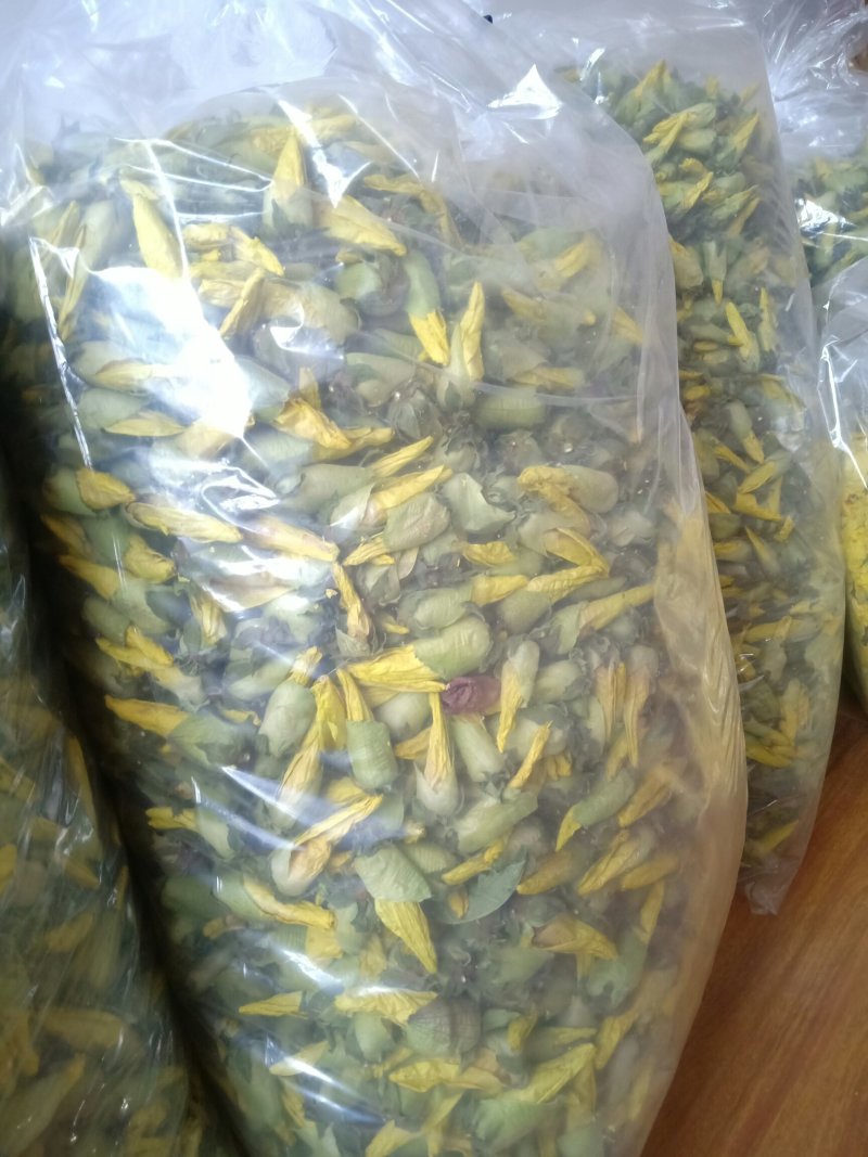 金花葵、金花葵干花蕾、金花葵花茶