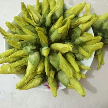 金花葵、金花葵干花蕾、金花葵花茶