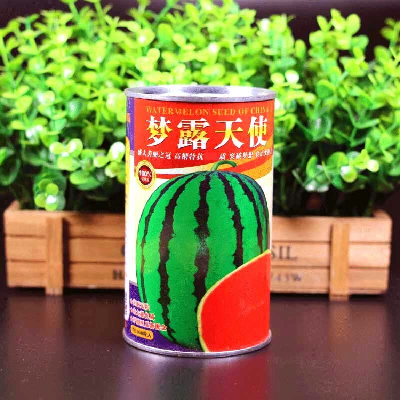 梦露天使高产西瓜种子耐重茬抗旱耐湿耐低温抗病性强