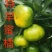 宜昌特早蜜橘个头均匀颜色红口感甜！