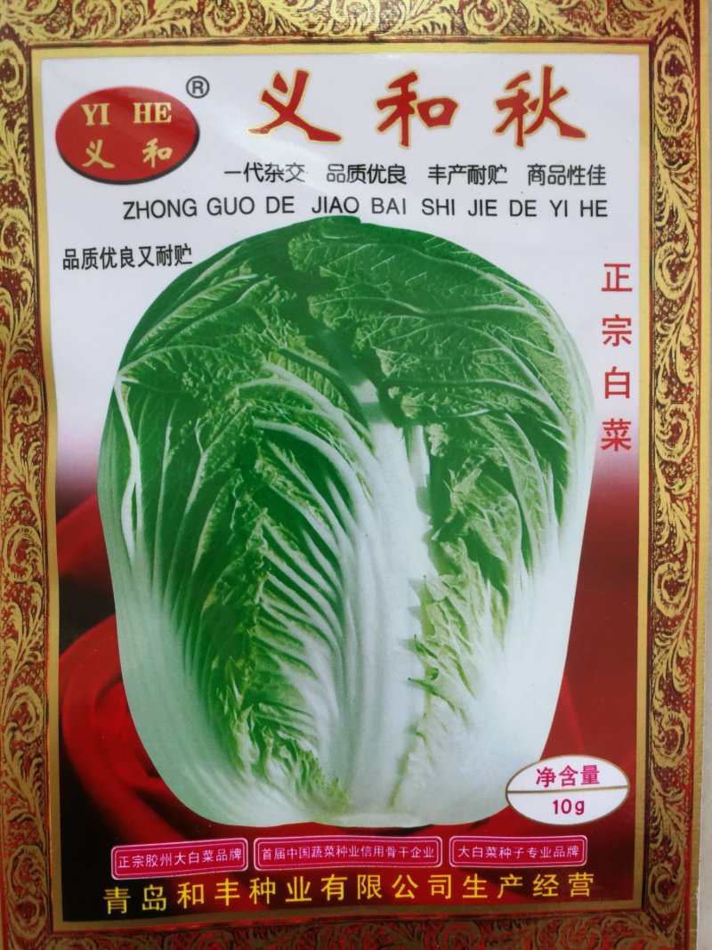 农业农村部登记品种秋白菜种子（义和秋）大白菜种子90天