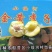 小黄金干核李子