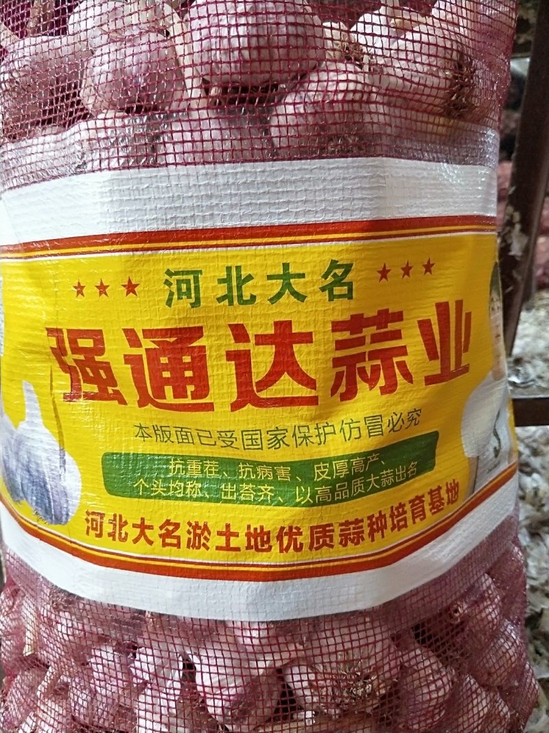 大蒜