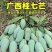嫁接金煌，桂七，四季芒，红贵妃，基地直发，一手货源