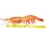 阿根廷红虾深海红虾刺身红虾