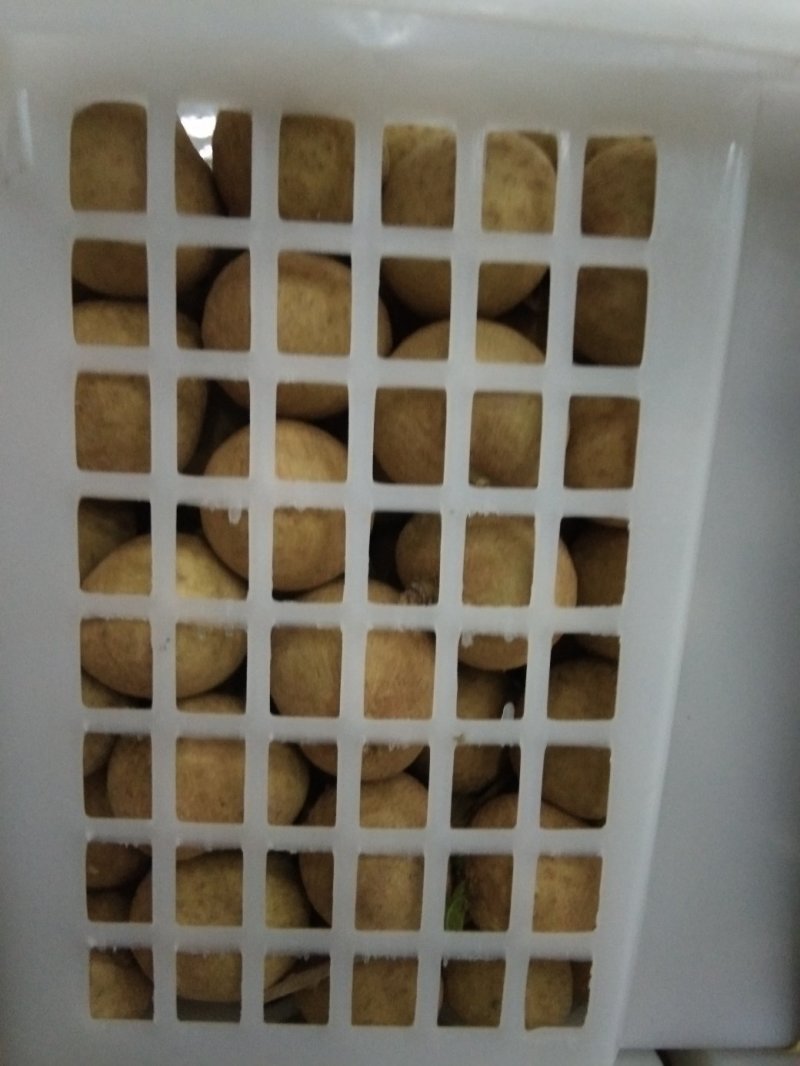热带水果