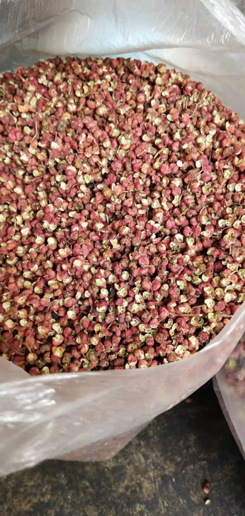 2025年陕西大红袍特级精品净货