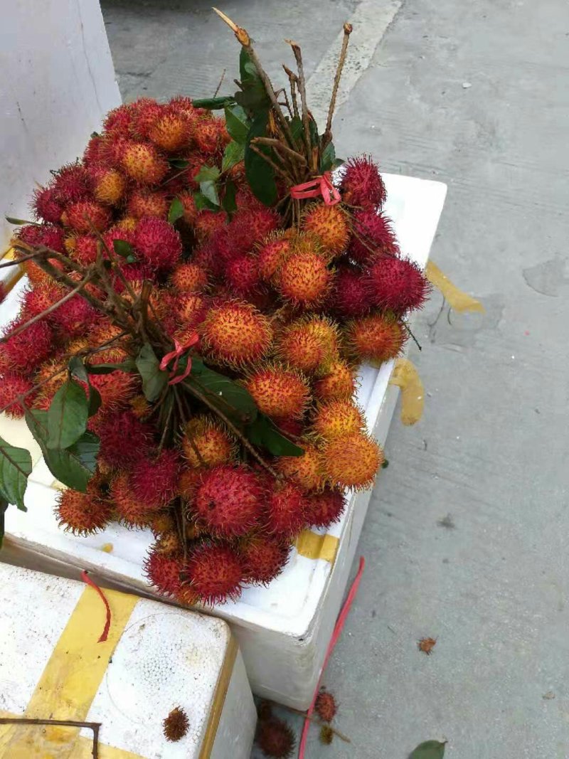 越南毛荔枝，进口的越南毛荔枝