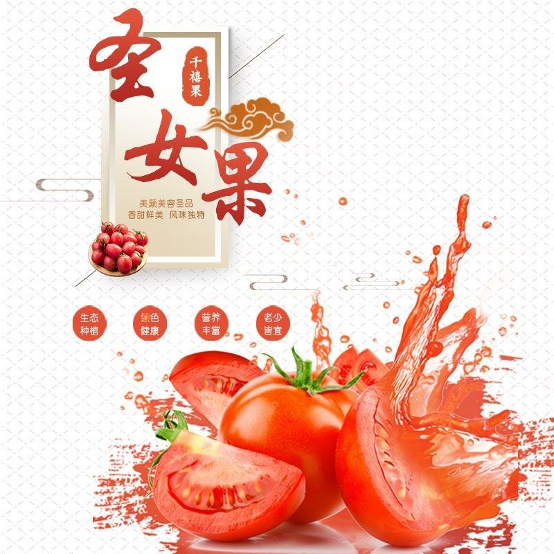 贵州安顺平坝生鲜番茄果蔬圣女果