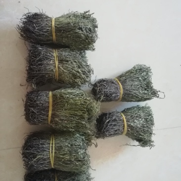 独脚金成色绿