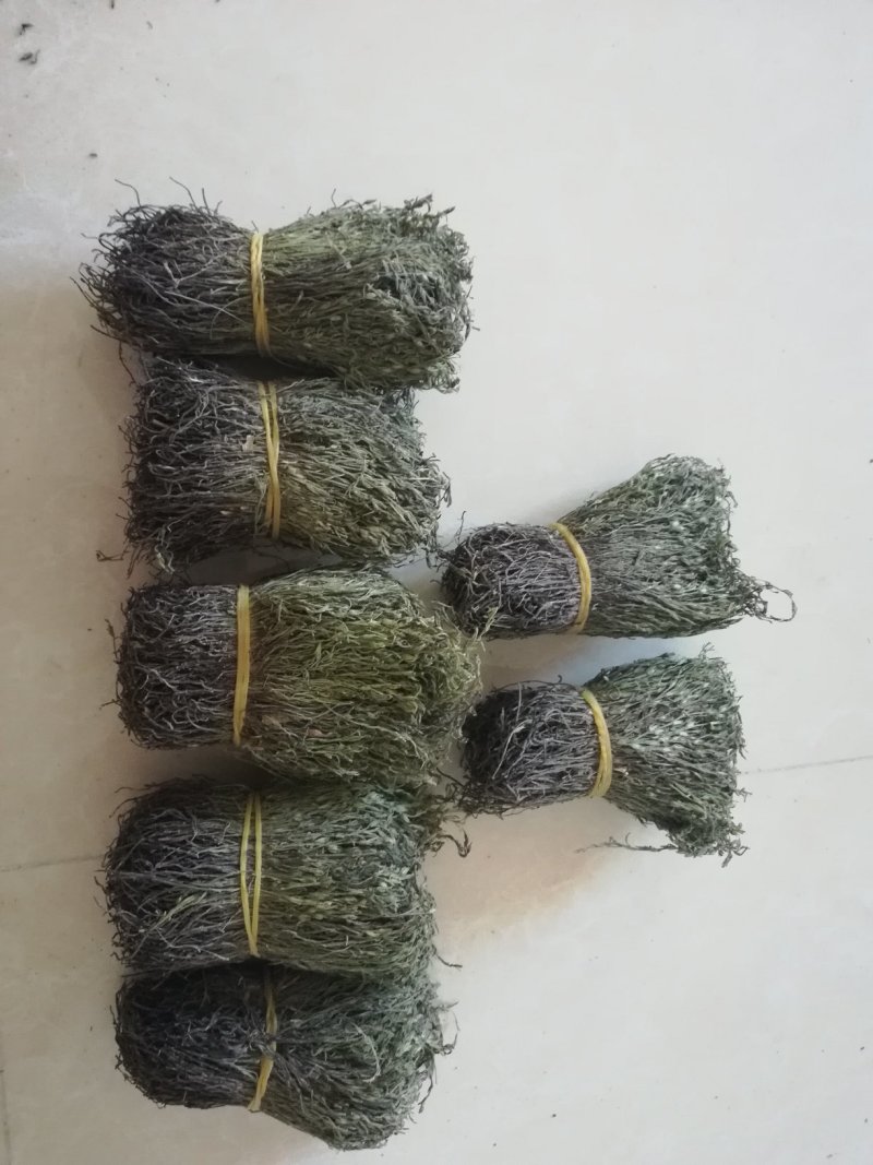 独脚金成色绿