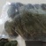 独脚金成色绿