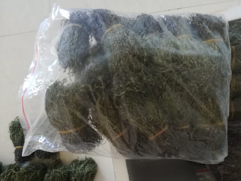 独脚金成色绿