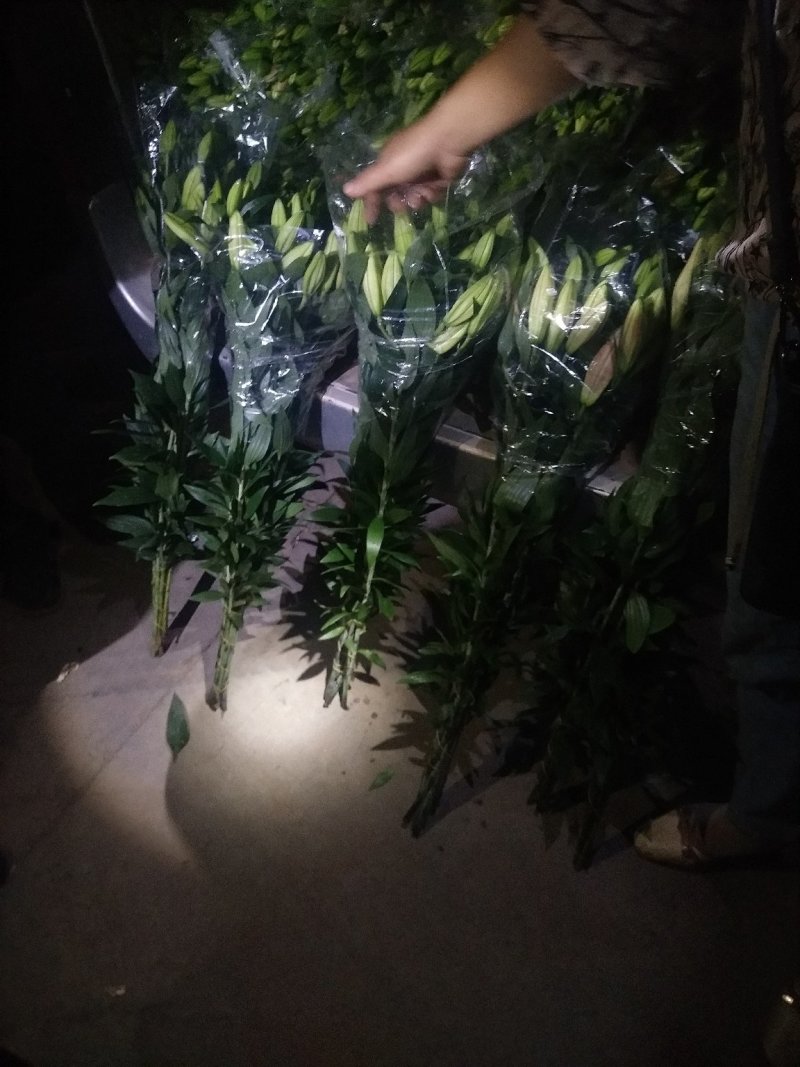 百合花鲜切花基地代办花市代拍支持一件代发批发