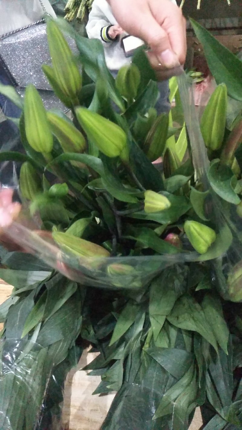 百合花鲜切花基地代办花市代拍支持一件代发批发