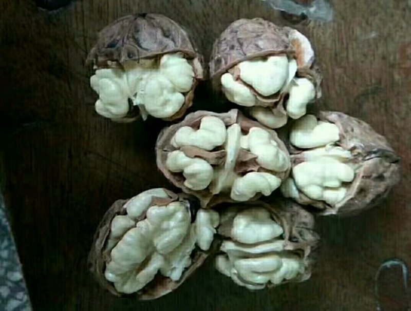 黑桃、板栗、青花椒