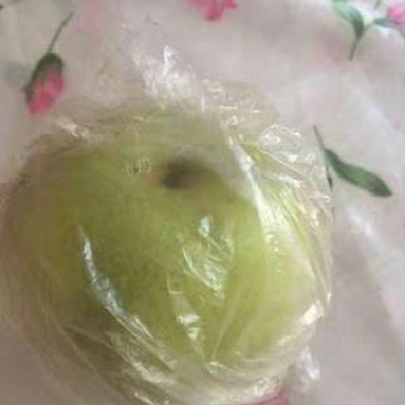 十斤一件砀山梨皇冠梨1农家初选农副产品蔬果
