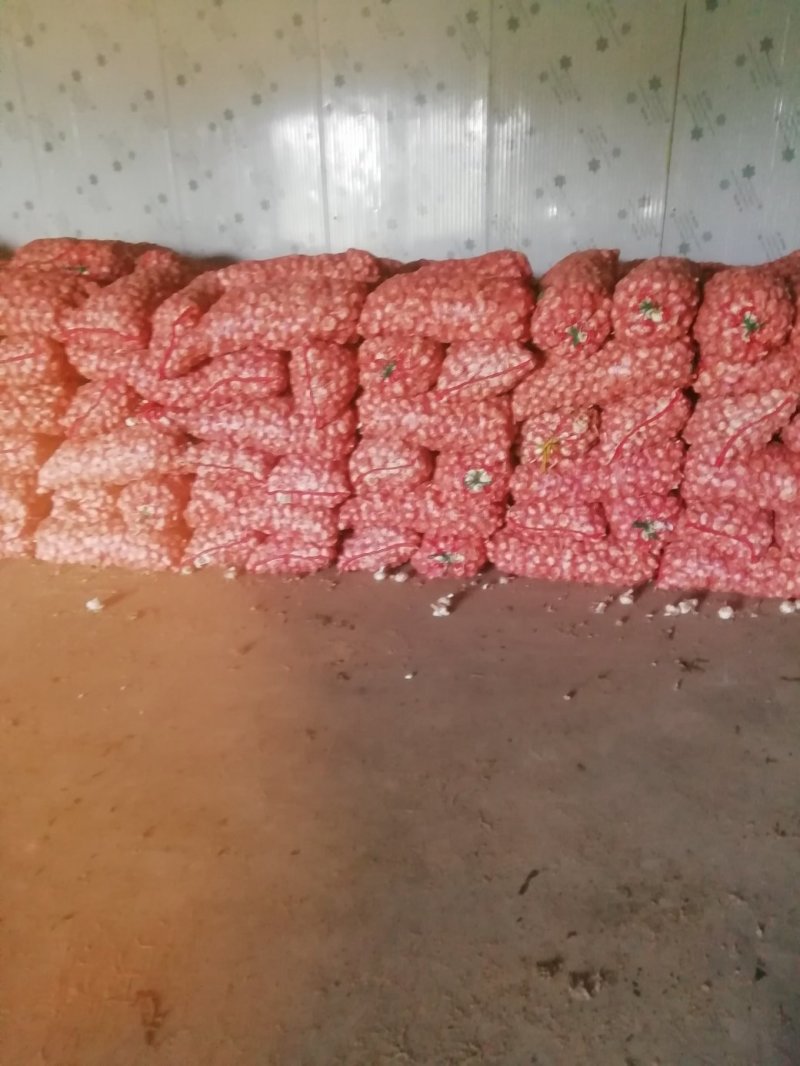 大蒜