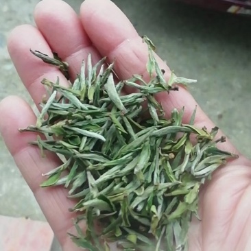 黄山毛峰，厂家直销，欢迎选购！