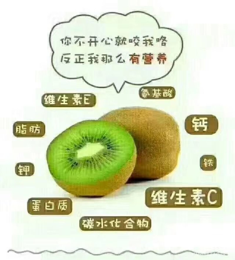 猕猴桃