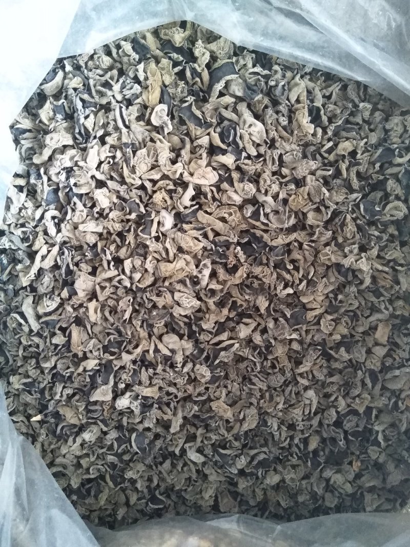 干货小木耳