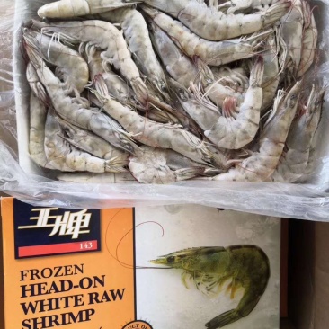 南美白虾