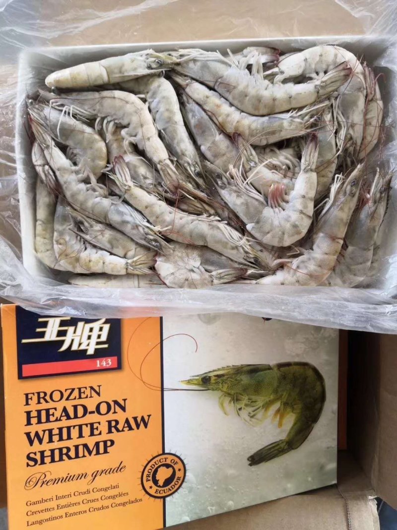 南美白虾