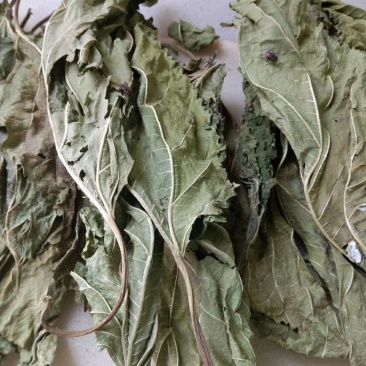 中药材