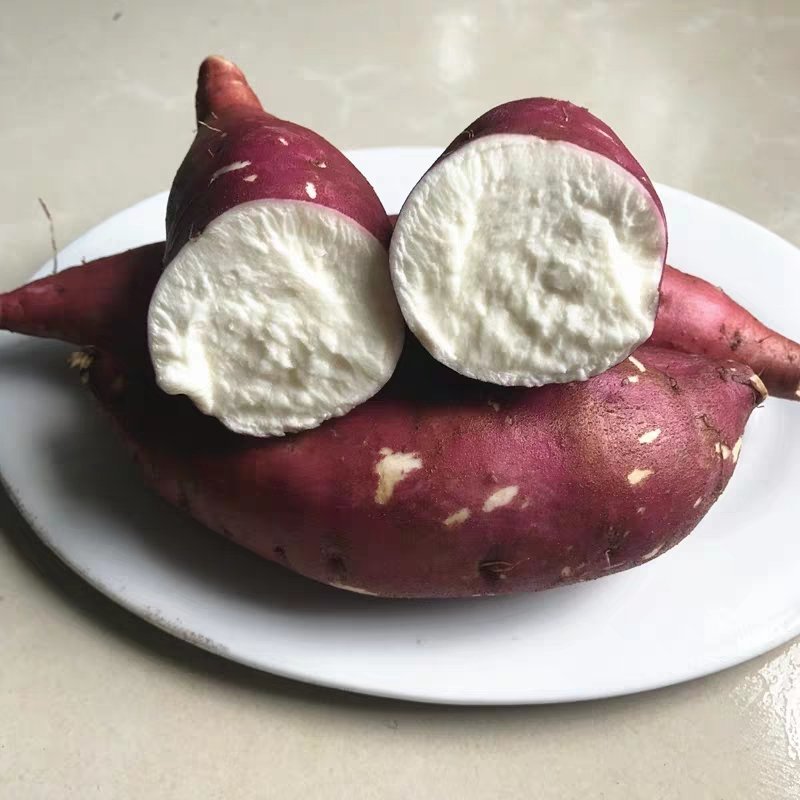 农家新鲜板栗红薯白肉面包王高州爆皮王白心山芋地瓜粉