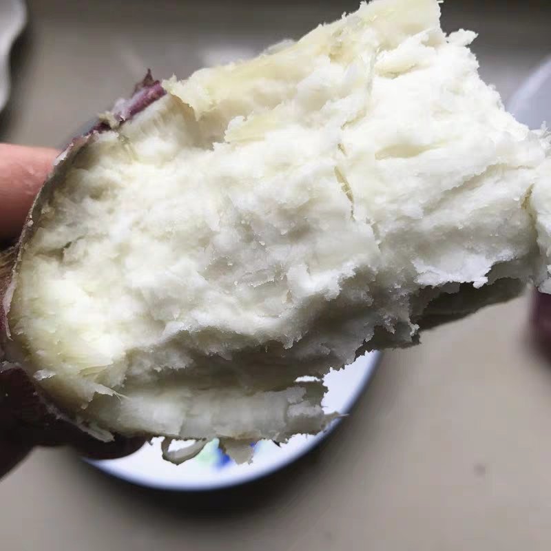 农家新鲜板栗红薯白肉面包王高州爆皮王白心山芋地瓜粉