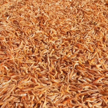 湖北土特产清江河野生干虾米小虾干河虾淡无盐水虾虾皮虾