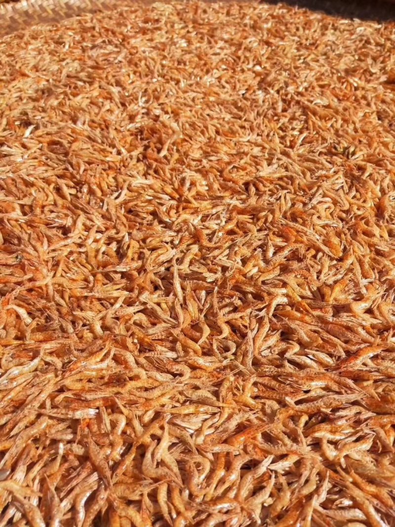 湖北土特产清江河野生干虾米小虾干河虾淡无盐水虾虾皮虾
