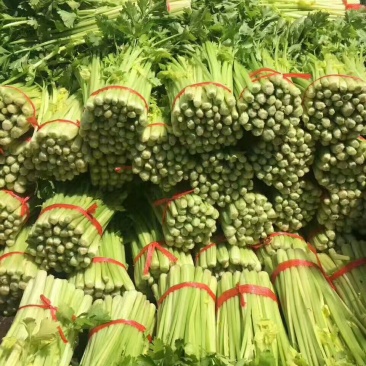西芹毛芹