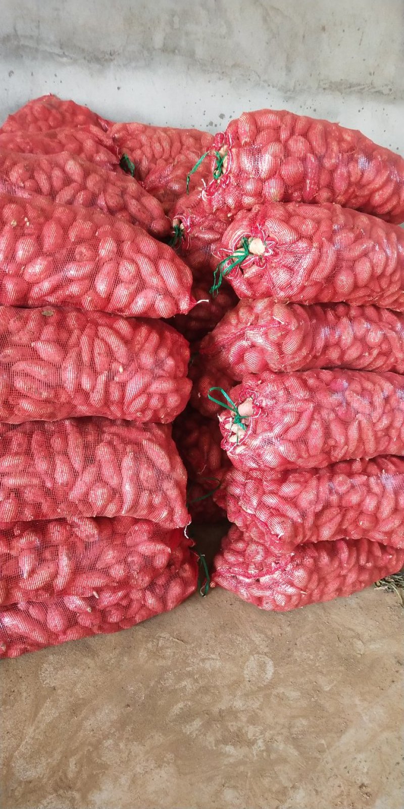【精品西瓜红，湖北优质龙薯软糯面甜襄阳龙薯九可视频看货