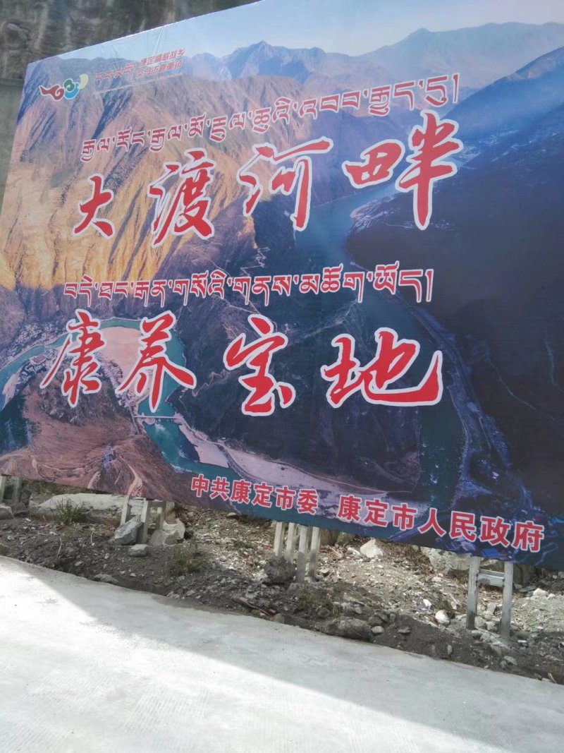 仙人掌果