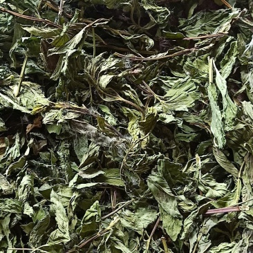 薄荷叶