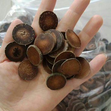 五年陈的正毛化橘红片，假一赔十