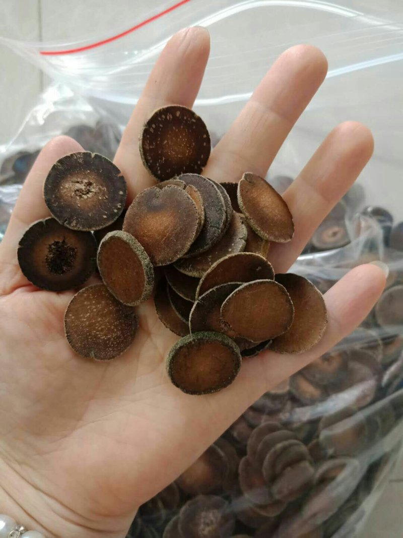 五年陈的正毛化橘红片，假一赔十
