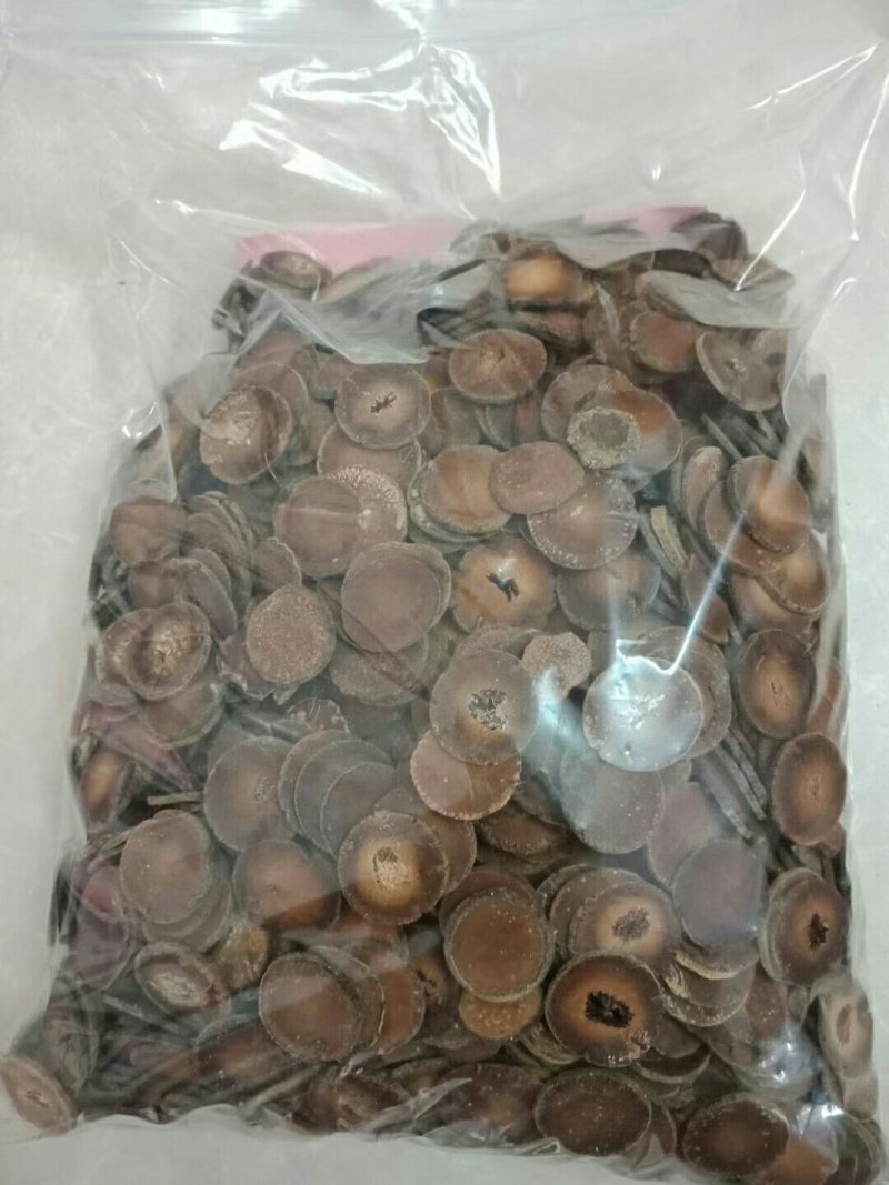 五年陈的正毛化橘红片，假一赔十