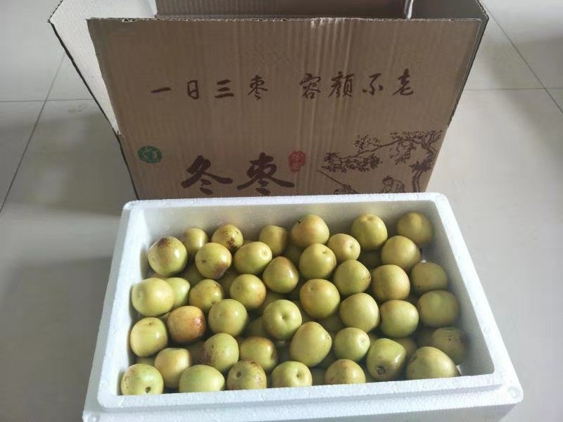 大荔冬枣，产地一手货源，支持一件代发