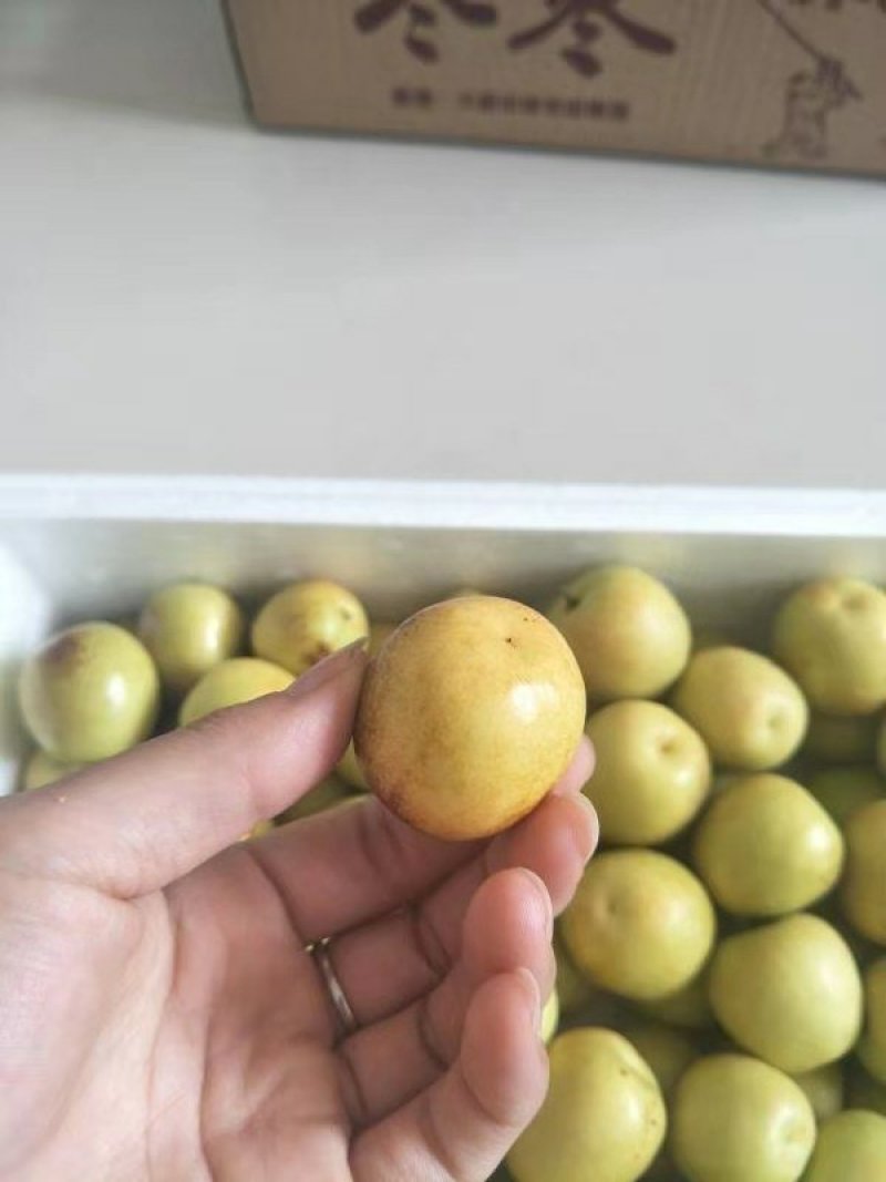 大荔冬枣，产地一手货源，支持一件代发