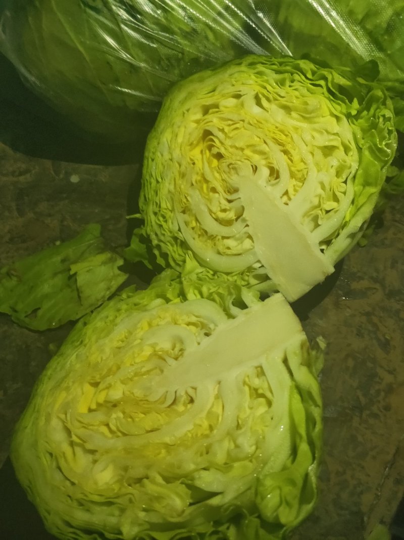甘蓝类